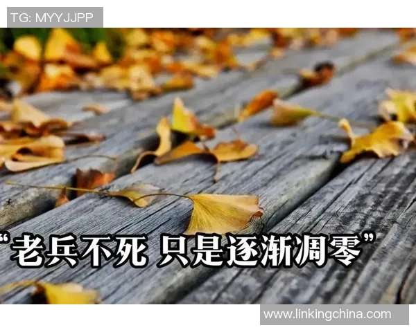 老兵不死只是在岁月的洗礼中逐渐淡去的传奇故事与回忆